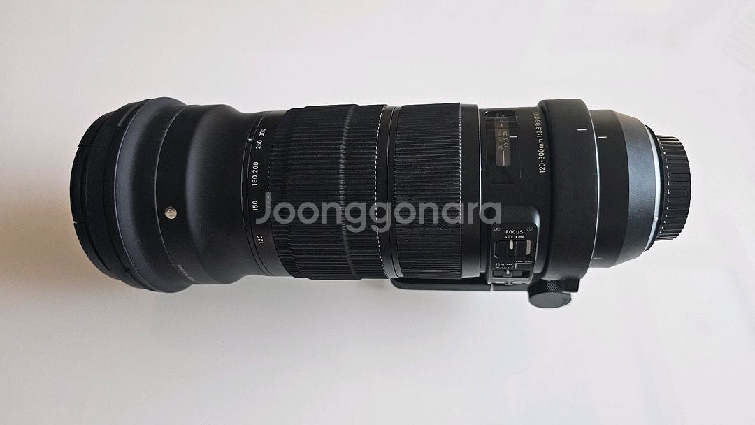 시그마120-300스포츠.캐논--5