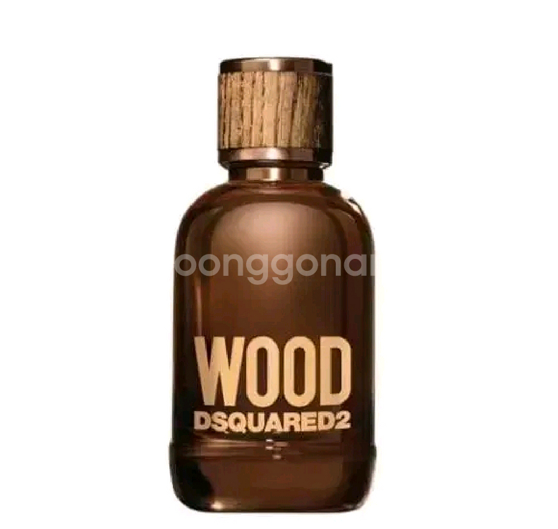 디스퀘어드2 우드 뿌르옴므 오드뚜왈렛 100ml--0