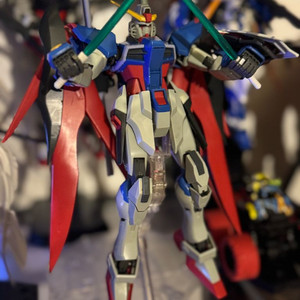 MG 건담 데스티니 1/100 정크