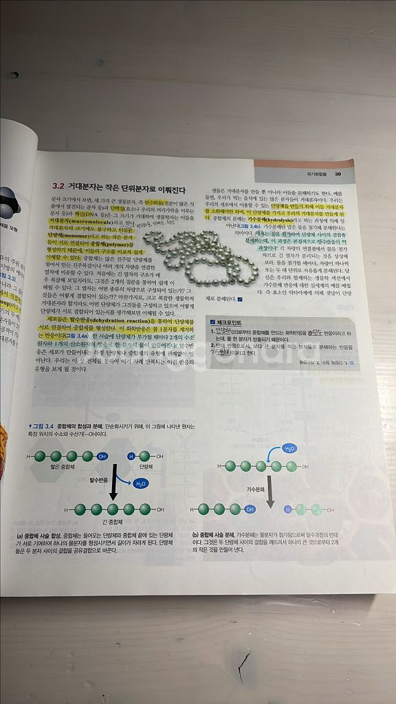 캠벨 생명과학 제 5판--1