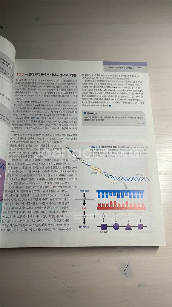 캠벨 생명과학 제 5판--2