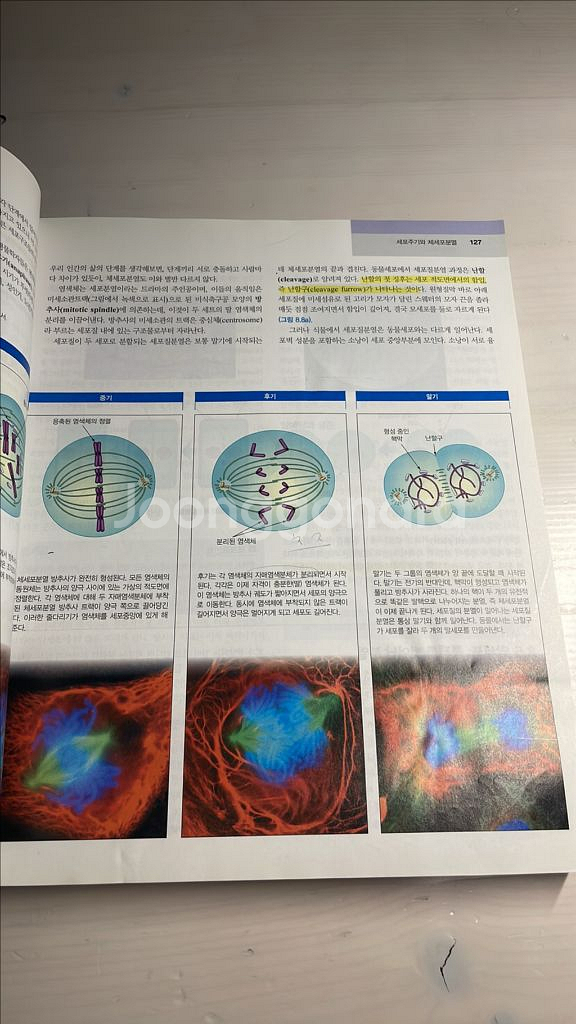 캠벨 생명과학 제 5판--3