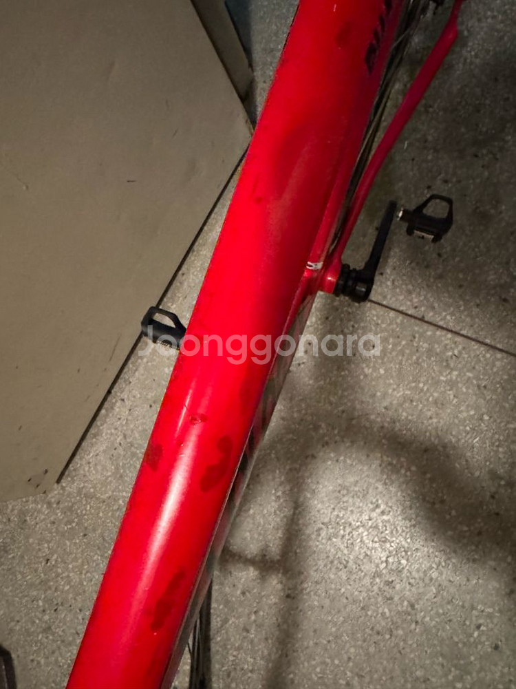 에콜로직스 픽시 자전거 판매--3