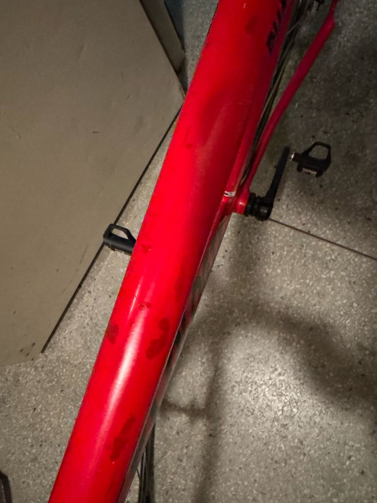 에콜로직스 픽시 자전거 판매 이미지