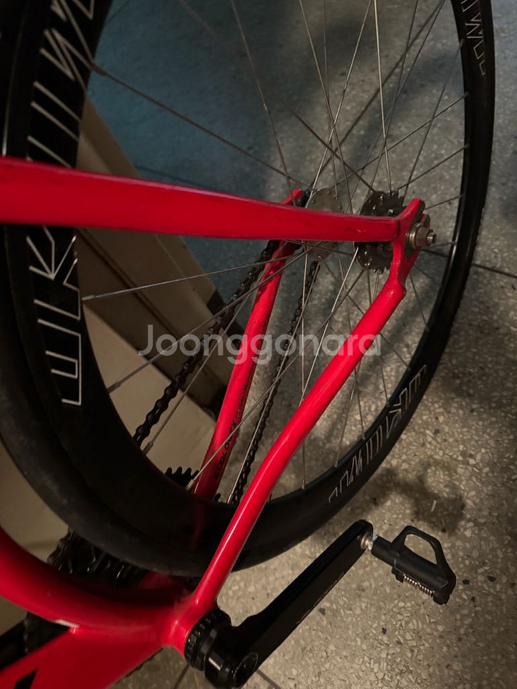 에콜로직스 픽시 자전거 판매--5
