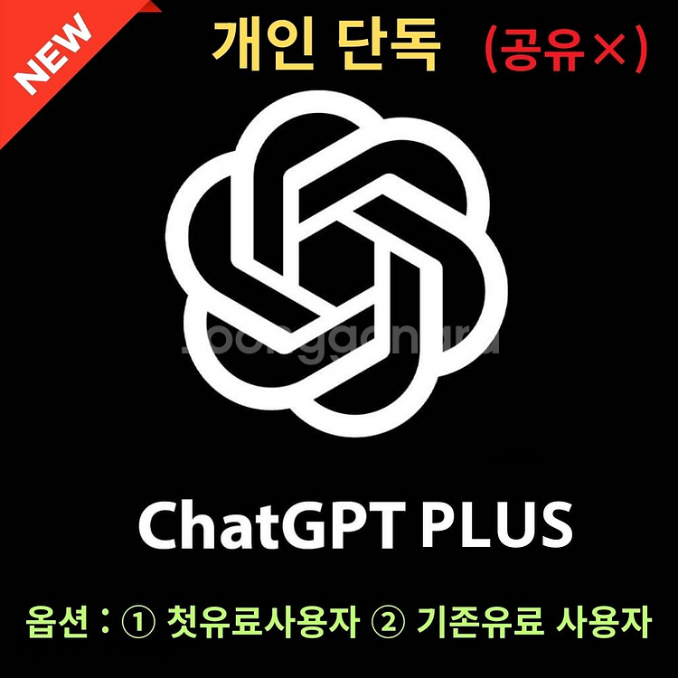 Chat gpt plus, 단독, 공유 아님, 3개월--0