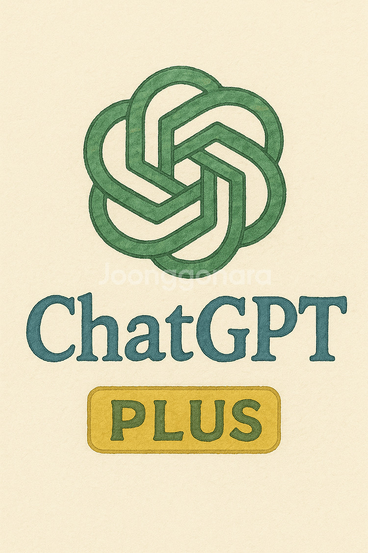 Chat gpt plus, 단독, 공유 아님, 3개월--1