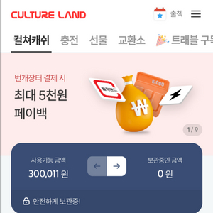 컬쳐캐쉬 30만원