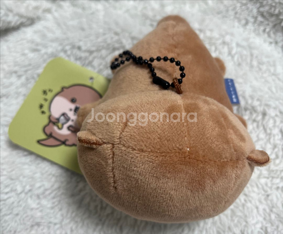나가노 먼작귀 수족관 캐릭터즈 수달 키링--2