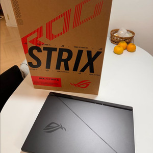 ASUS ROG G814JIR 게이밍노트북 (풀박)