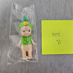 소니엔젤 선인장 시리즈