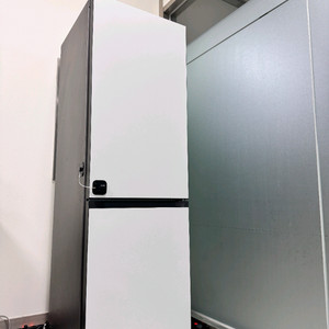 삼성전자 비스포크 2도어 333L (코타화이트)