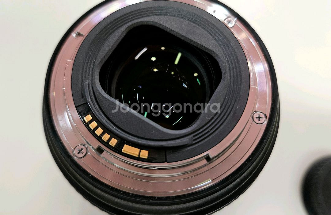 신품급>캐논 EF 24-105mm F4L IS II--6