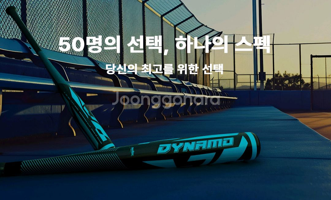 스카이라인 알로이 배트--0