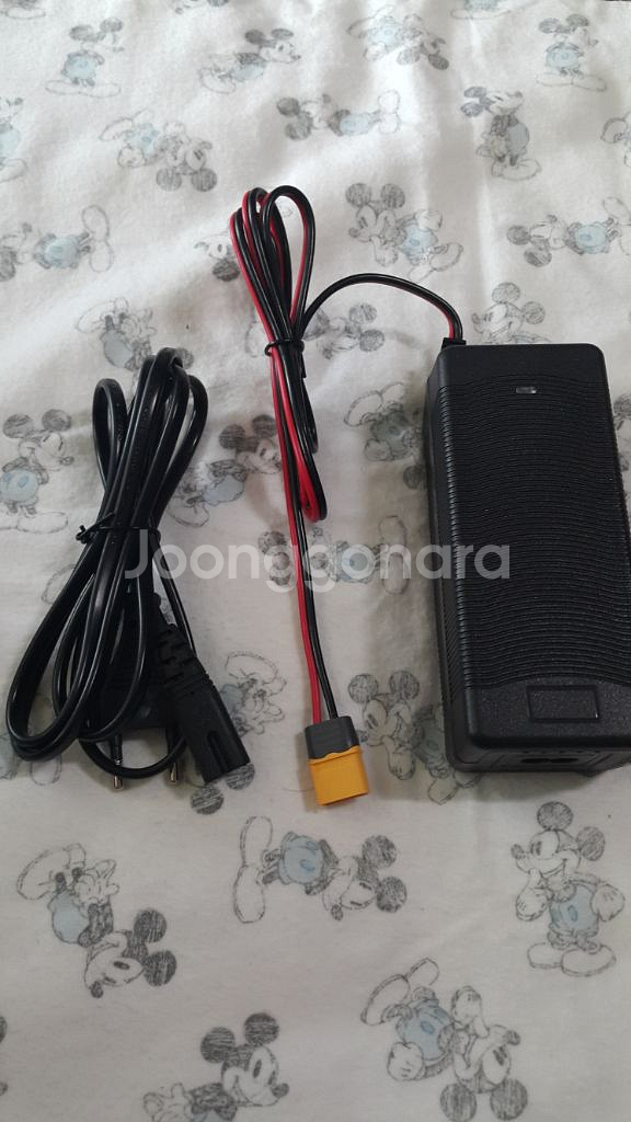 전기자전거 고속충전기 퀄리 모토벨로 삼천리 퀵보드36v--0