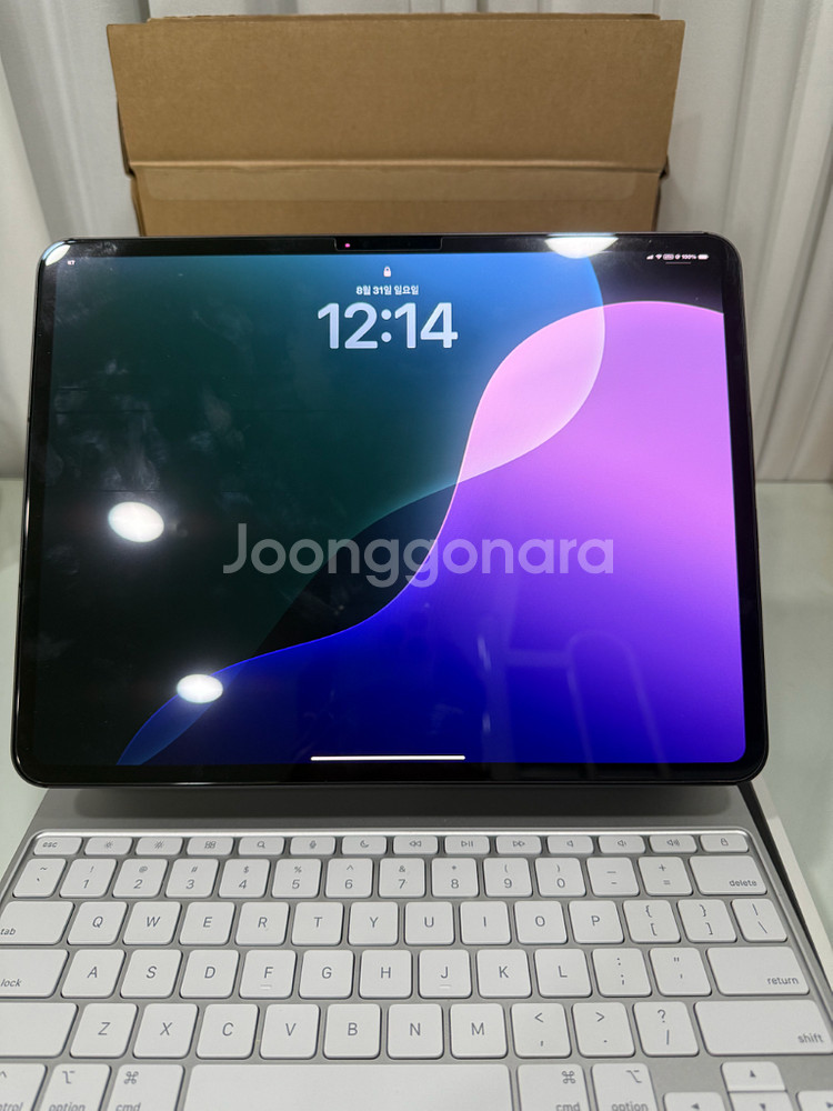 아이패드 프로 13인치 7세대M4 셀룰러 512GB 급--0