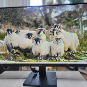 LG(24MR400)IPS 24인치모니터