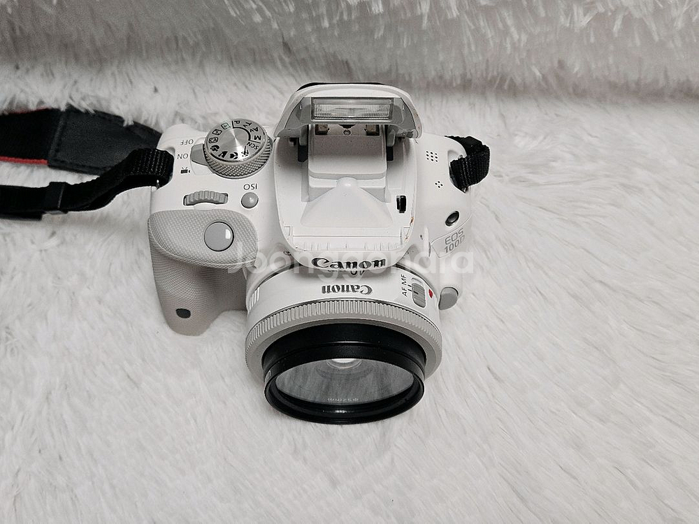 [민트] 캐논 EOS 100D DSLR 카메라, 디카--3