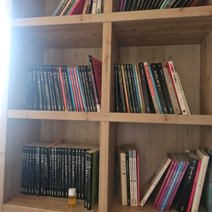 한국문학 논술도서