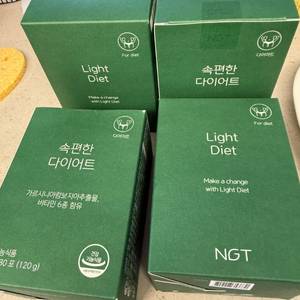 속편한 다이어트효소