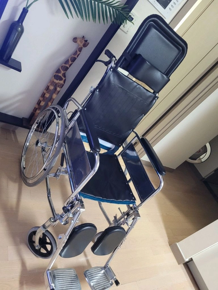 침대형 휠체어 거상용. 이미지