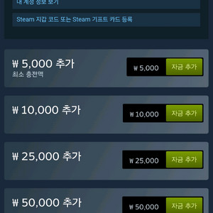 스팀월렛 80만원