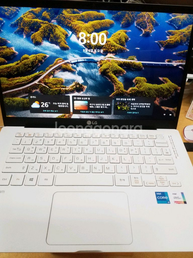 LG그램 i5-1135U7 14Z95N-VP50ML--0