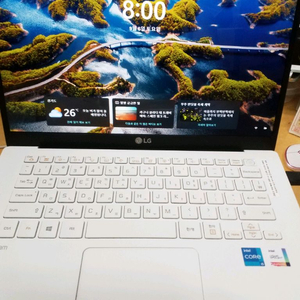 LG그램 i5-1135U7 14Z95N-VP50ML