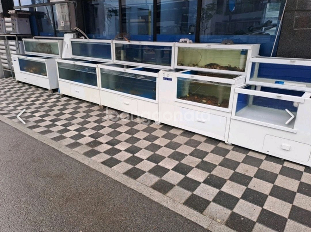 업소용수족관 및 냉각기--0