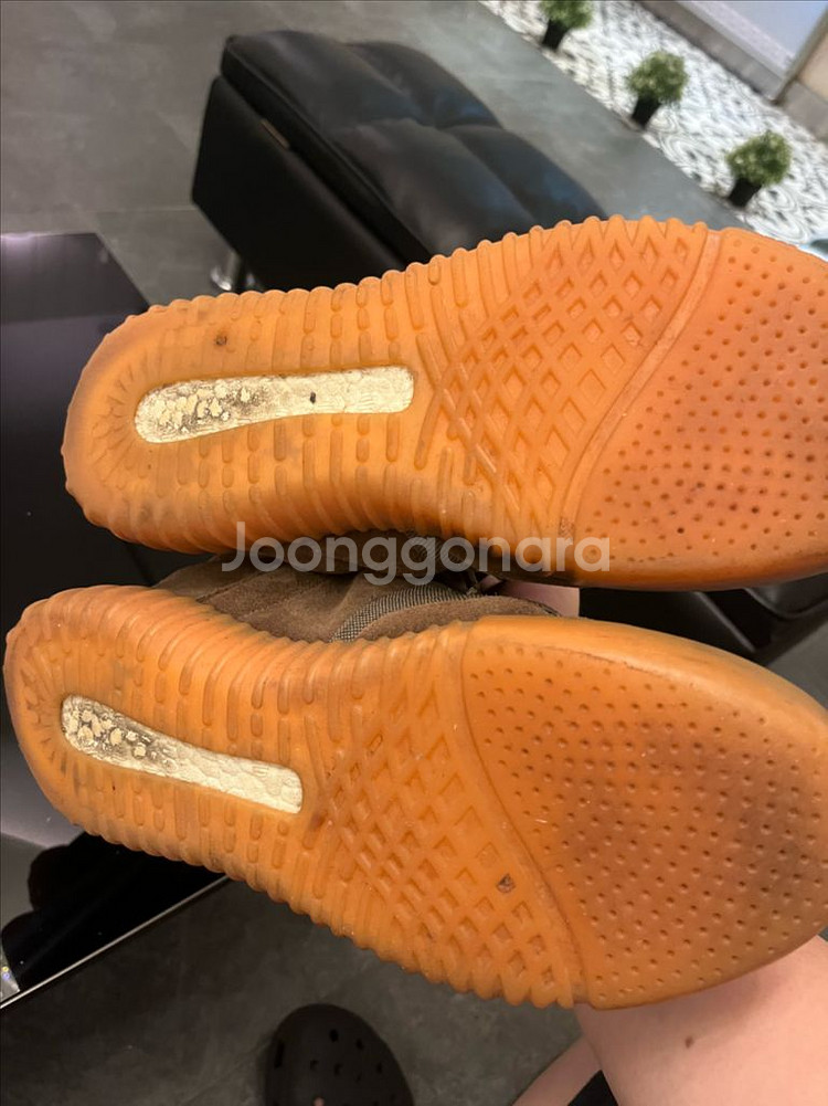 이지부스트 750 초콜릿 275--1