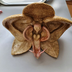 권군 작품 말하는 난