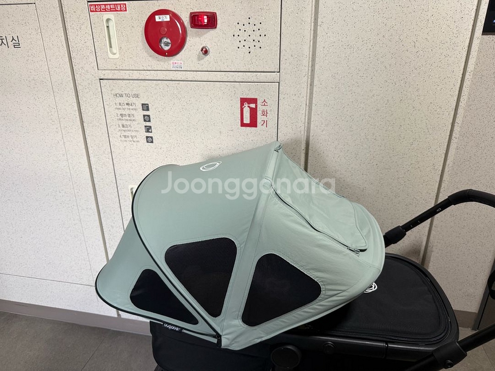 부가부 폭스5 브리지썬캐노피 파인그린--0