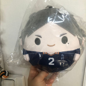 하이큐 스가와라 후와m 팔아요
