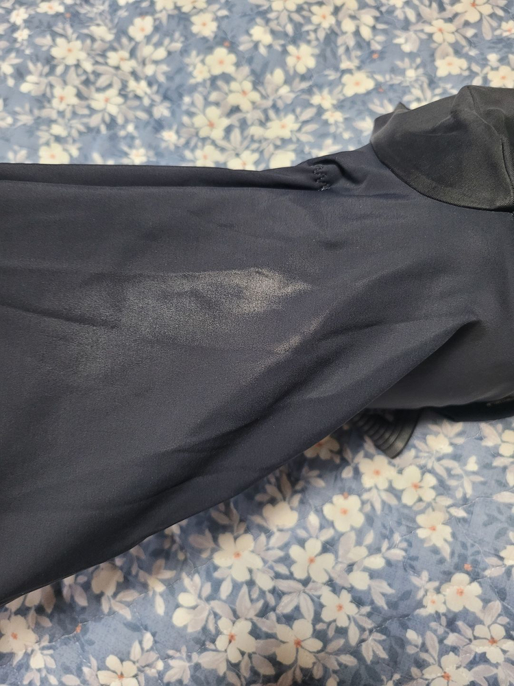 아소스 이큅 RS 빕숏 타르가 이미지