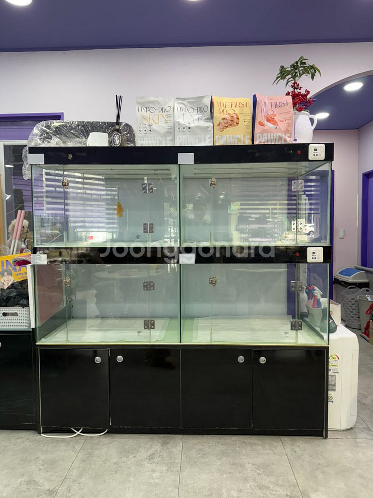 애견분양장,애견호텔장,대기장--1
