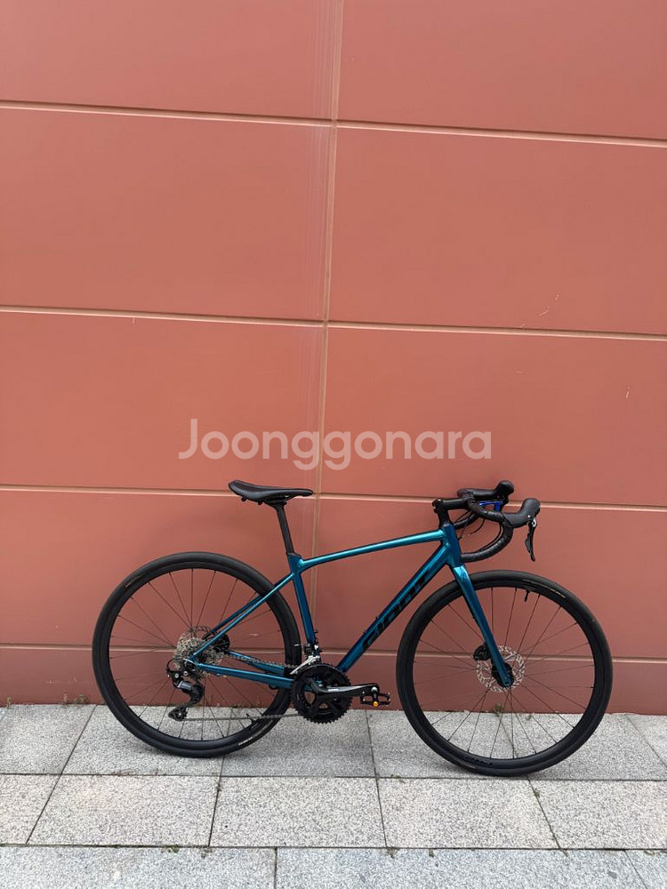 자이언트 컨텐드 AR1 2024 로드 자전거--1