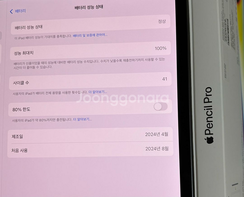 아이패드 프로7세대 13인치 M4 + 정품 애플펜슬--2