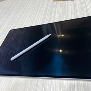 갤럭시탭s10 울트라 256g 5g 자급제