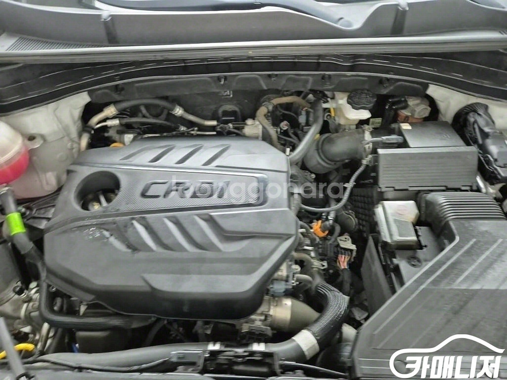 [기아]스포티지 더 볼드 1.6 디젤 2WD 트렌디 (--4