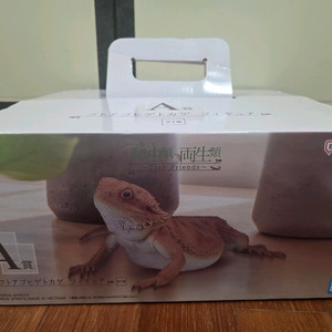파충류&양서류 Tiny Friends 피규어 A상