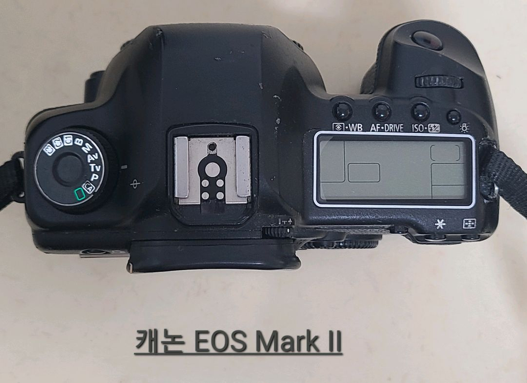 케논 EOS 5D MARK2 의 랜즈 이미지