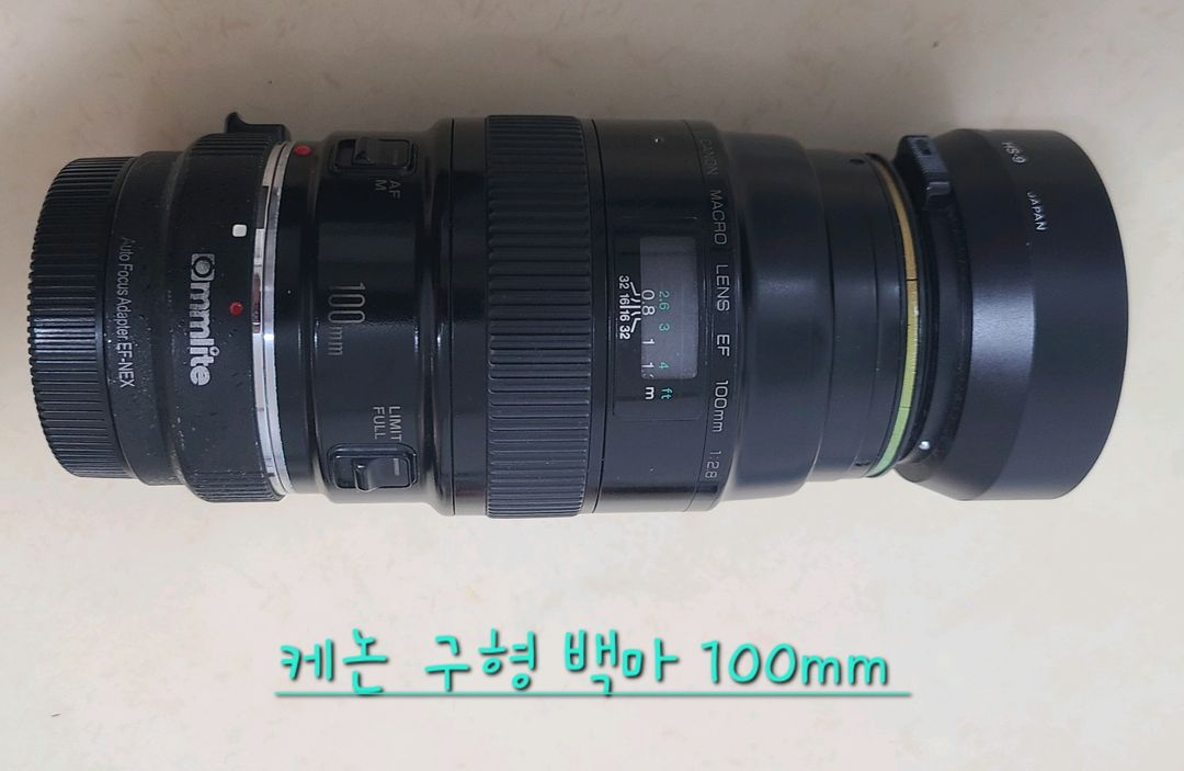 케논 EOS 5D MARK2 의 랜즈 이미지