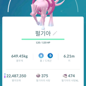 포켓몬고 오리진디아루가펄기아 이로치