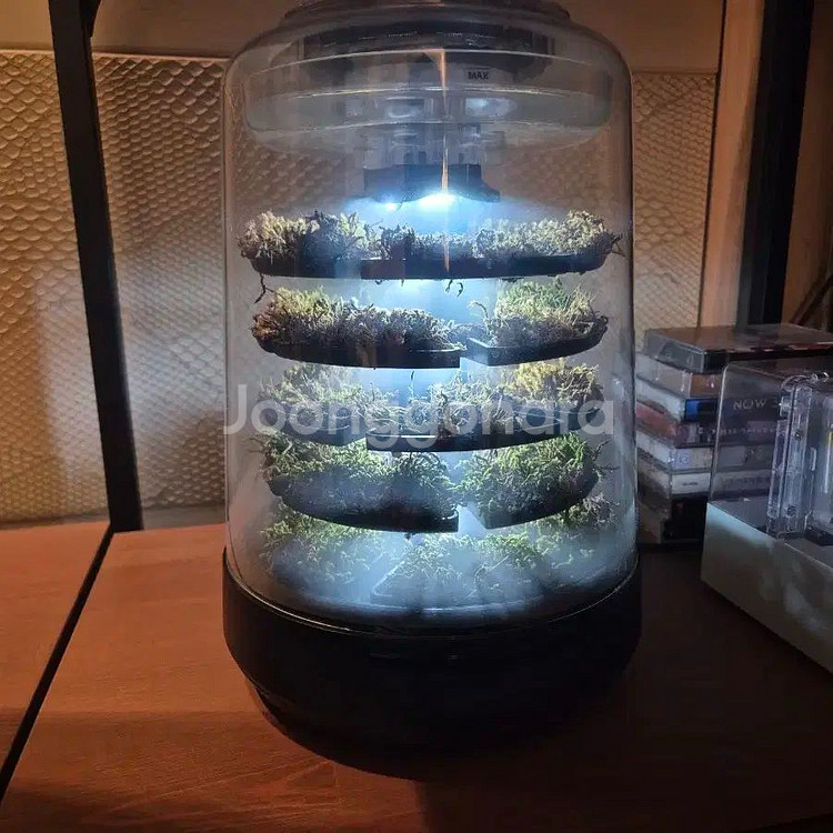 쁘띠포레 가습기 판매합니다--0