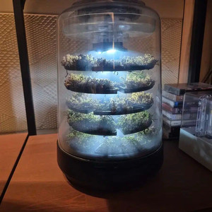 쁘띠포레 가습기 판매합니다