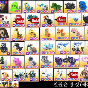 입양하세요 메가펫 싸게 정리중(최신업뎃)