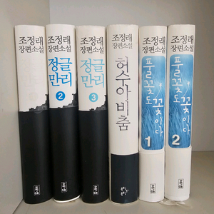 조정래 소설 일괄판매 ㅡ1만원