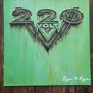 220 Volt. 민트반