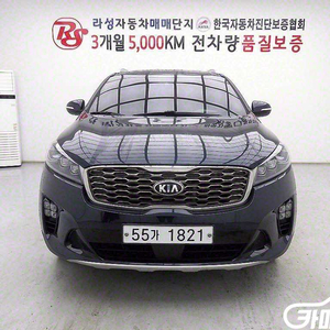 [기아]더 뉴 쏘렌토 디젤 2.0 2WD 노블레스 (5