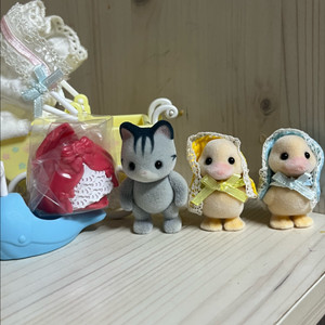 실바니안 오리 일괄 일택포